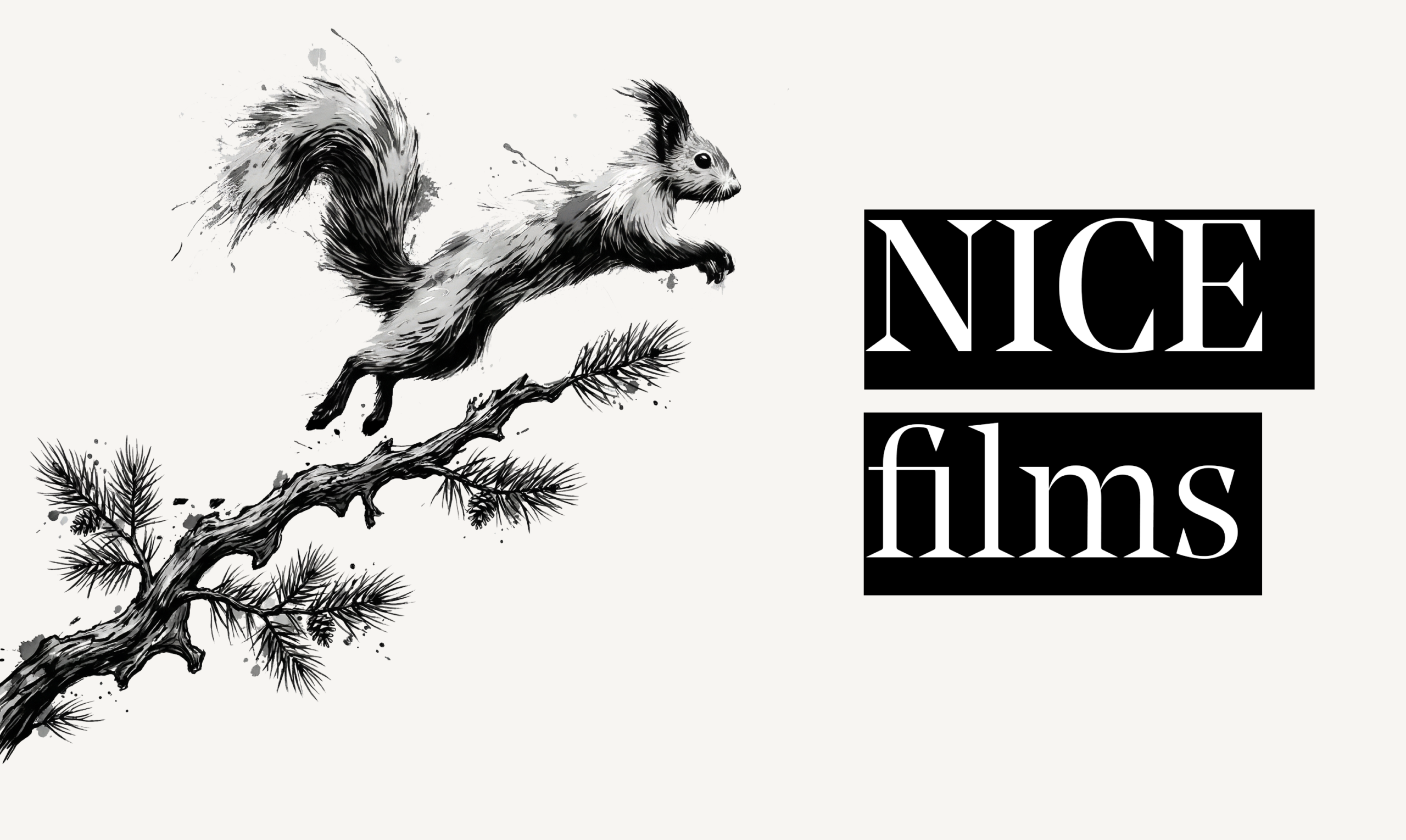 Nice Films | Cinematic stories